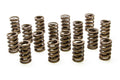 1.244 Single Valve Springs w/Damper (16)