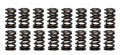 1.260 Dual Valve Springs (16)