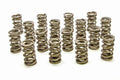 1.324 Dual Valve Springs - RPM Series (16)