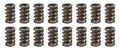 1.260 Valve Springs  w/ Damper (16)