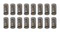 1.025 Valve Springs - Ovate Beehive (16)