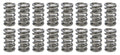 1.274 Dual Valve Springs GM LS (16)
