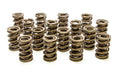 1.550 Dual Valve Springs (16)