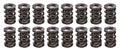 1.570 Dual Valve Springs CT 1200 Series (16)