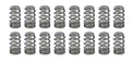 1.445 Valve Springs - Ovate Beehive (16)