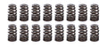 1.282 Valve Springs - Ovate Beehive (16)