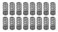 1.270 Valve Springs - Ovate Beehive (16)