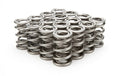 1.625 Dual Valve Springs (16)