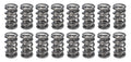 1.500 Dual Valve Springs (16)