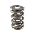 1.500 Dual Valve Spring (1)