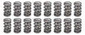 1.500 Dual Valve Springs (16)