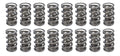 1.500 Dual Valve Springs (16)