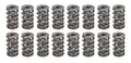 1.284 Dual Valve Springs (16)