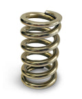 Calibrated Test Spring Medium 50-450lbs