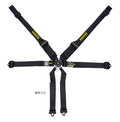 Harness 6pt Profi II SFI Hans Black