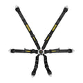 6pt Harness Flexi Black FIA Hans